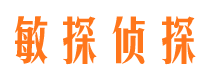 环江外遇调查取证